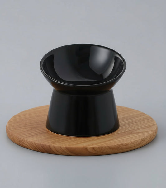 Small Ceramic Raised Cat Bowls