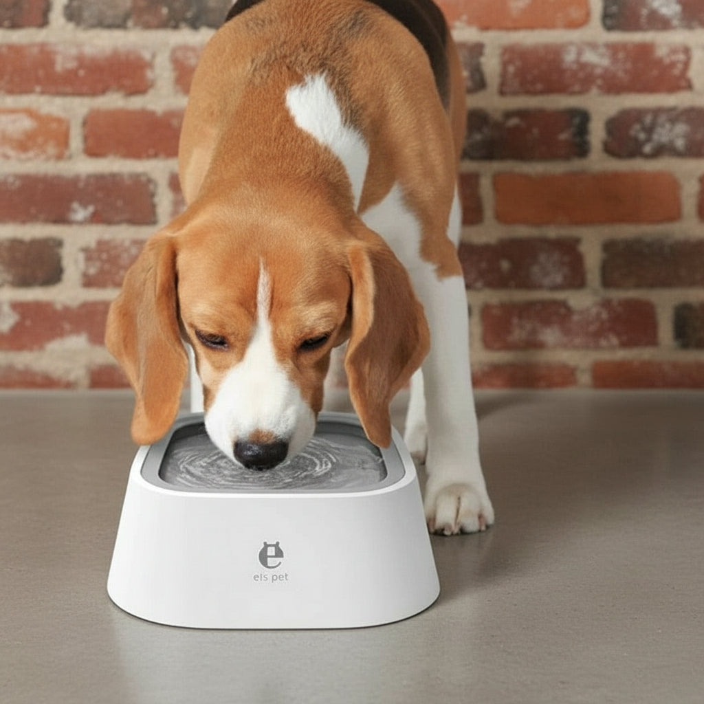 Dog Drinking Water Bowl with Floating Design - Non-Wetting, Non-Skid, Large Capacity